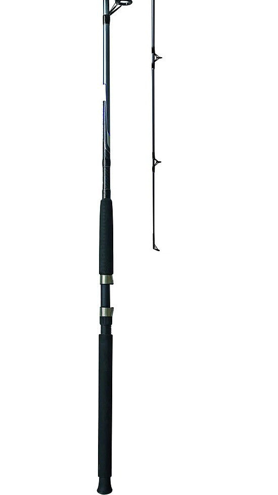 10ft Medium Heavy Spinning Fishing Rod - Saltwater & Freshwater