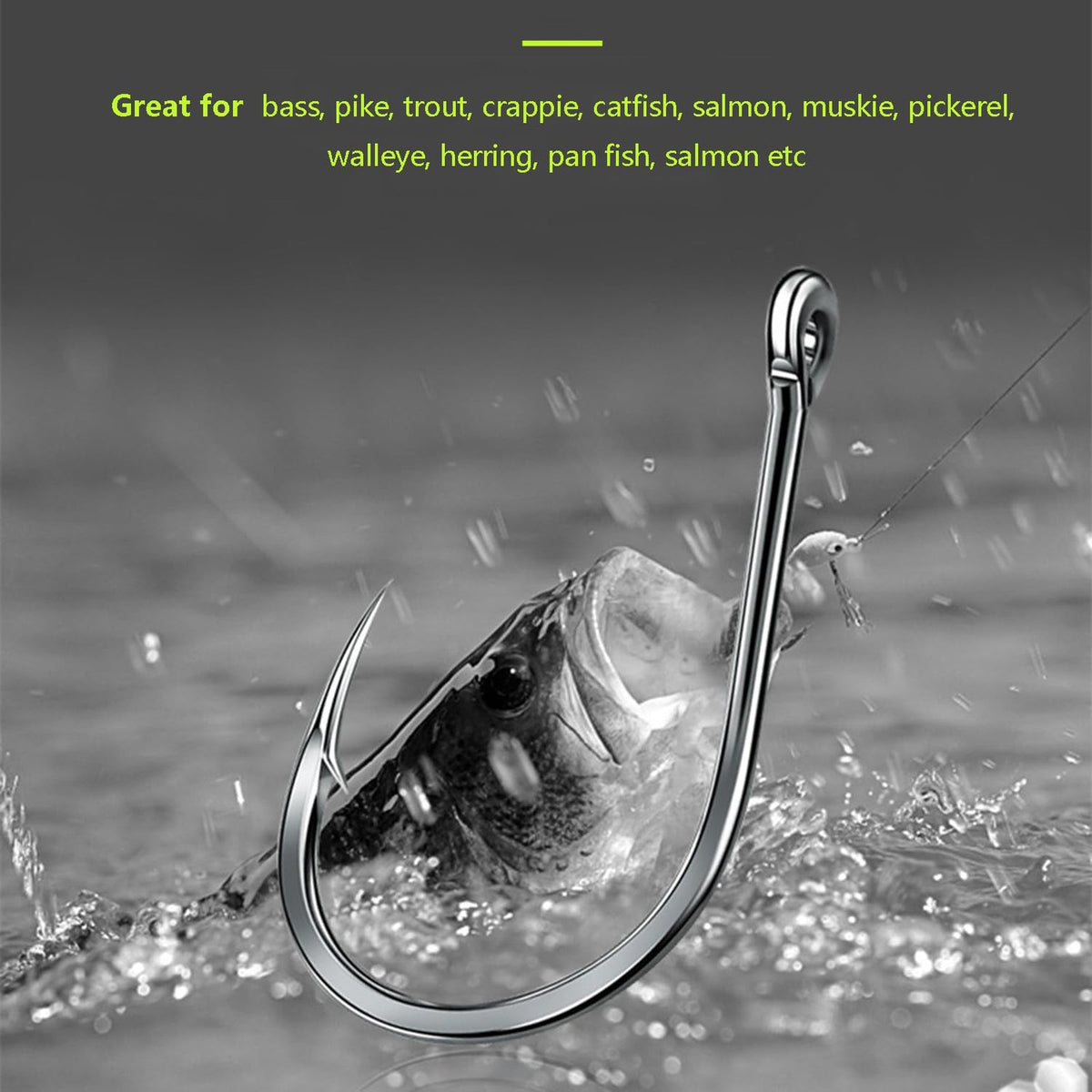 Small Trout Fishing Hooks Set - 10 Sizes, High Carbon Steel, 300-1000pcs