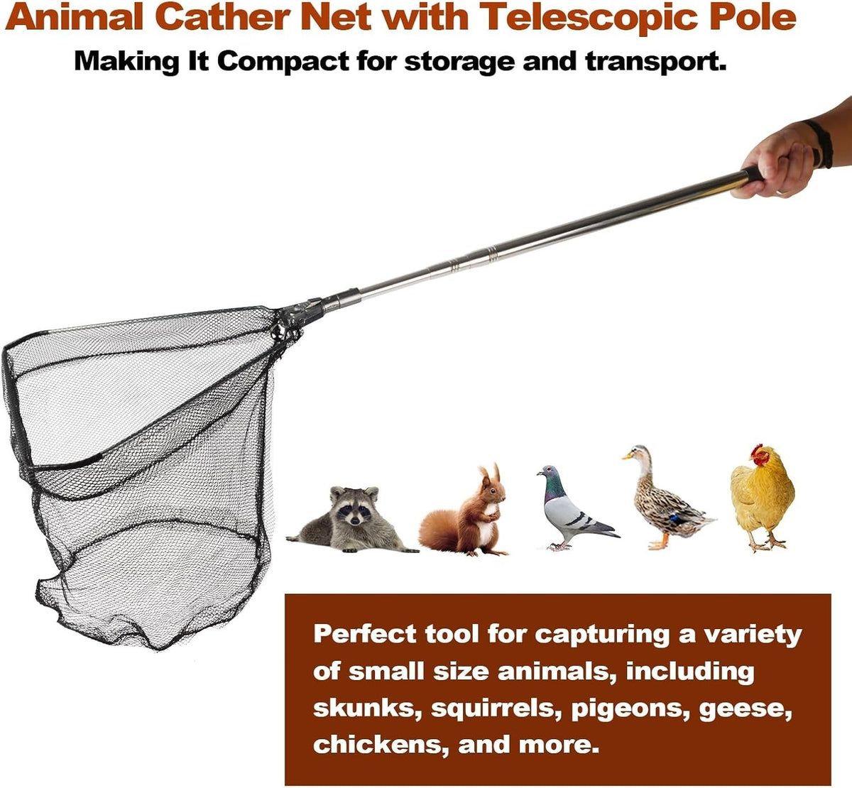 Extendable Chicken Catching Net with Long Handle for Poultry and Small Animals