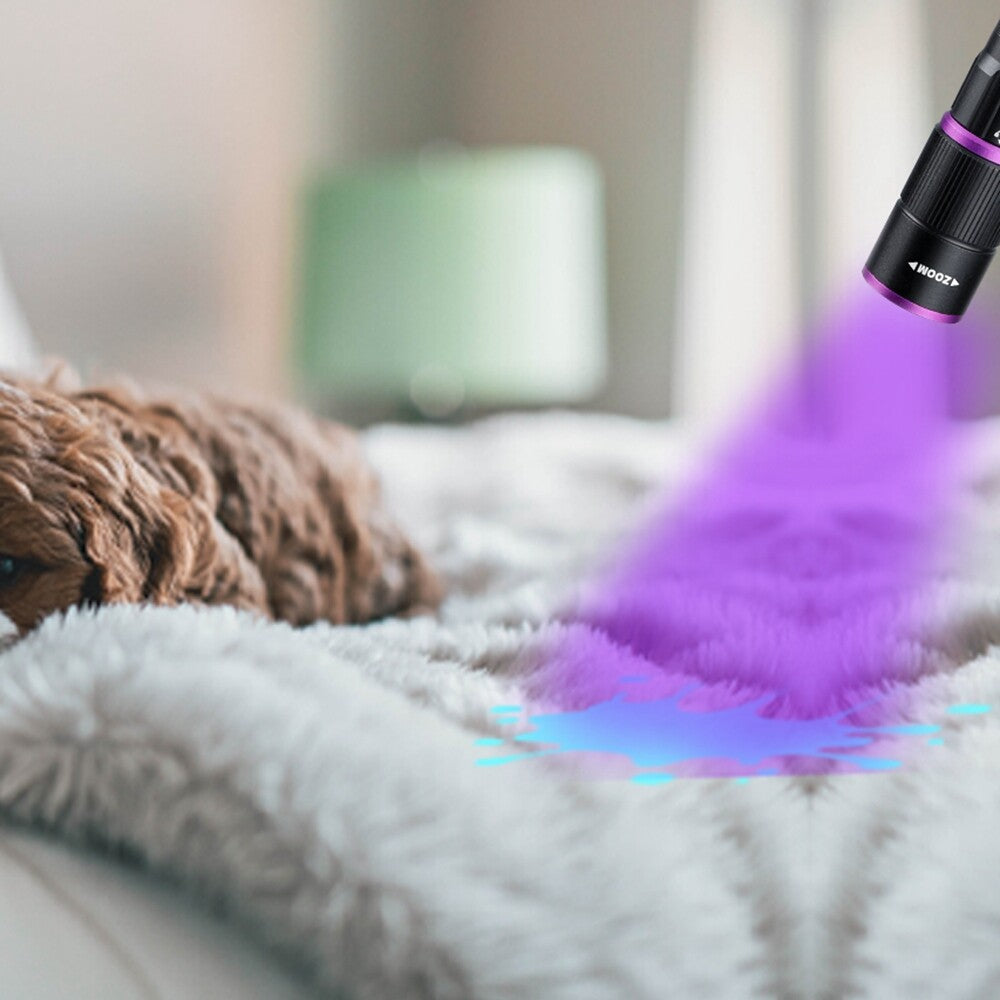 Rechargeable UV and White Light Flashlight with 4 Modes, Waterproof, Portable