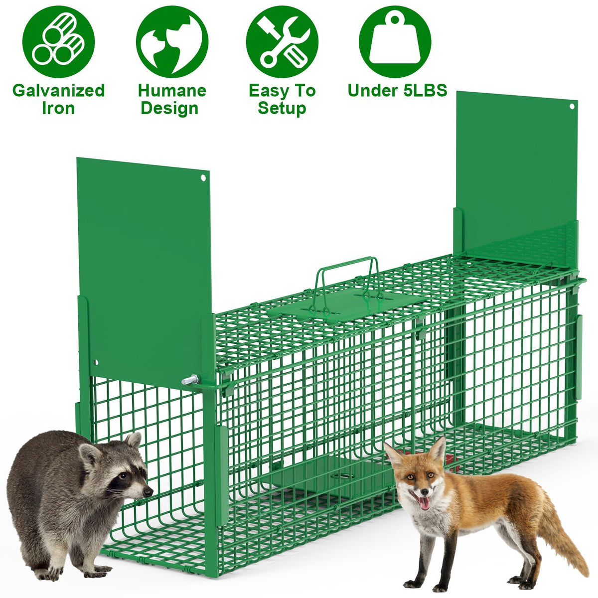 Heavy Duty Humane Animal Cage Trap for Raccoons Cats & Wildlife