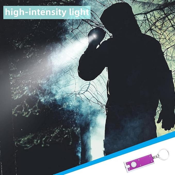 Mini Keychain Flashlight LED Light Bulk Pack for Outdoor Use