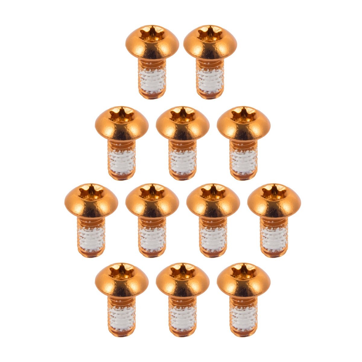 Mountain Bike Rotor Bolts T25 Titanium Steel 12 Pack for Disc Brakes