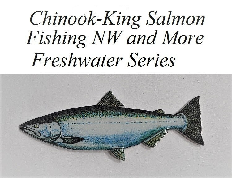 Walleye Fish Pin - Outdoor Enthusiast Lapel or Hat Badge