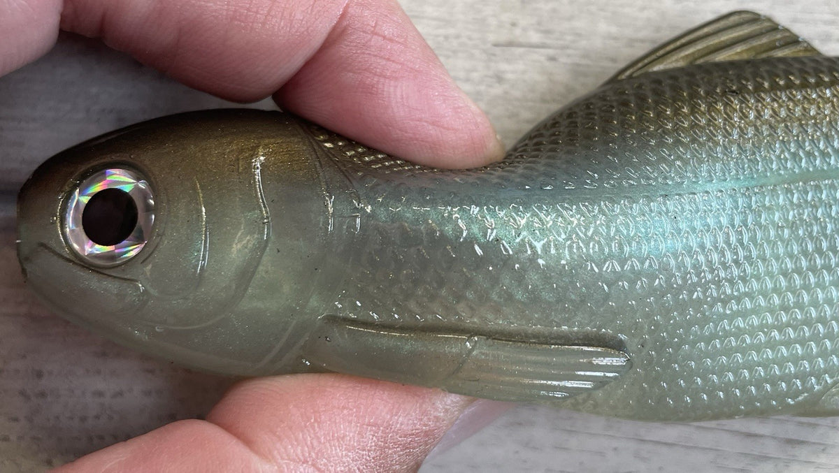 8-Inch Wedge Tail Soft Plastic Fish Bait - Green Gizzard Shad