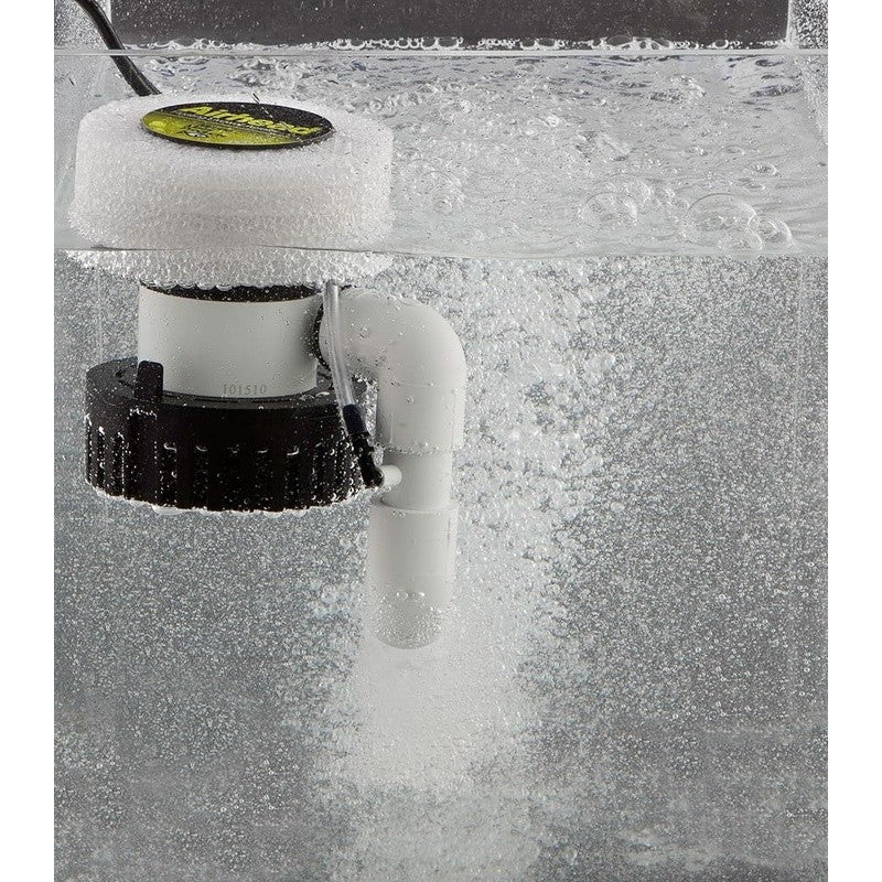 Electric Live Bait Aerator Pump 5.5 STL/Min for Fishing Bait Oxygenation