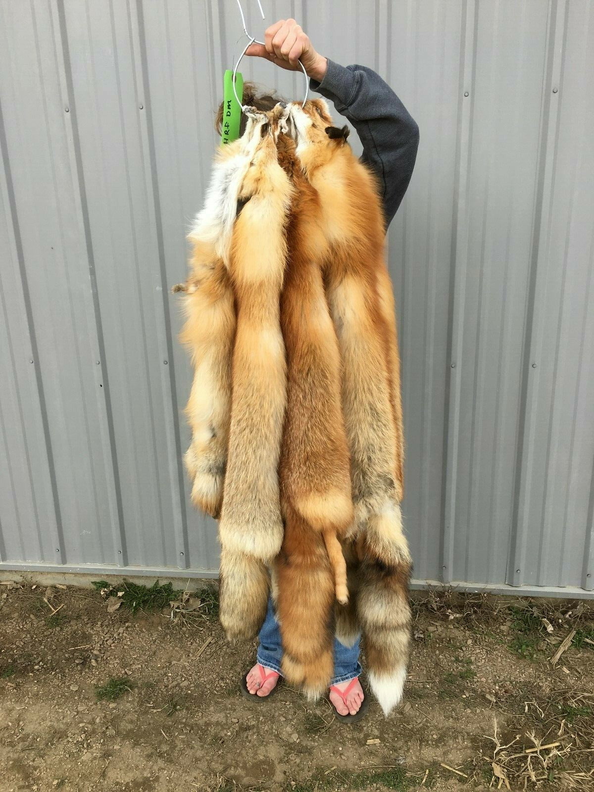 Heavy Red Fox Pelts for Crafts & Decor - Imperfect Grade, Western Region