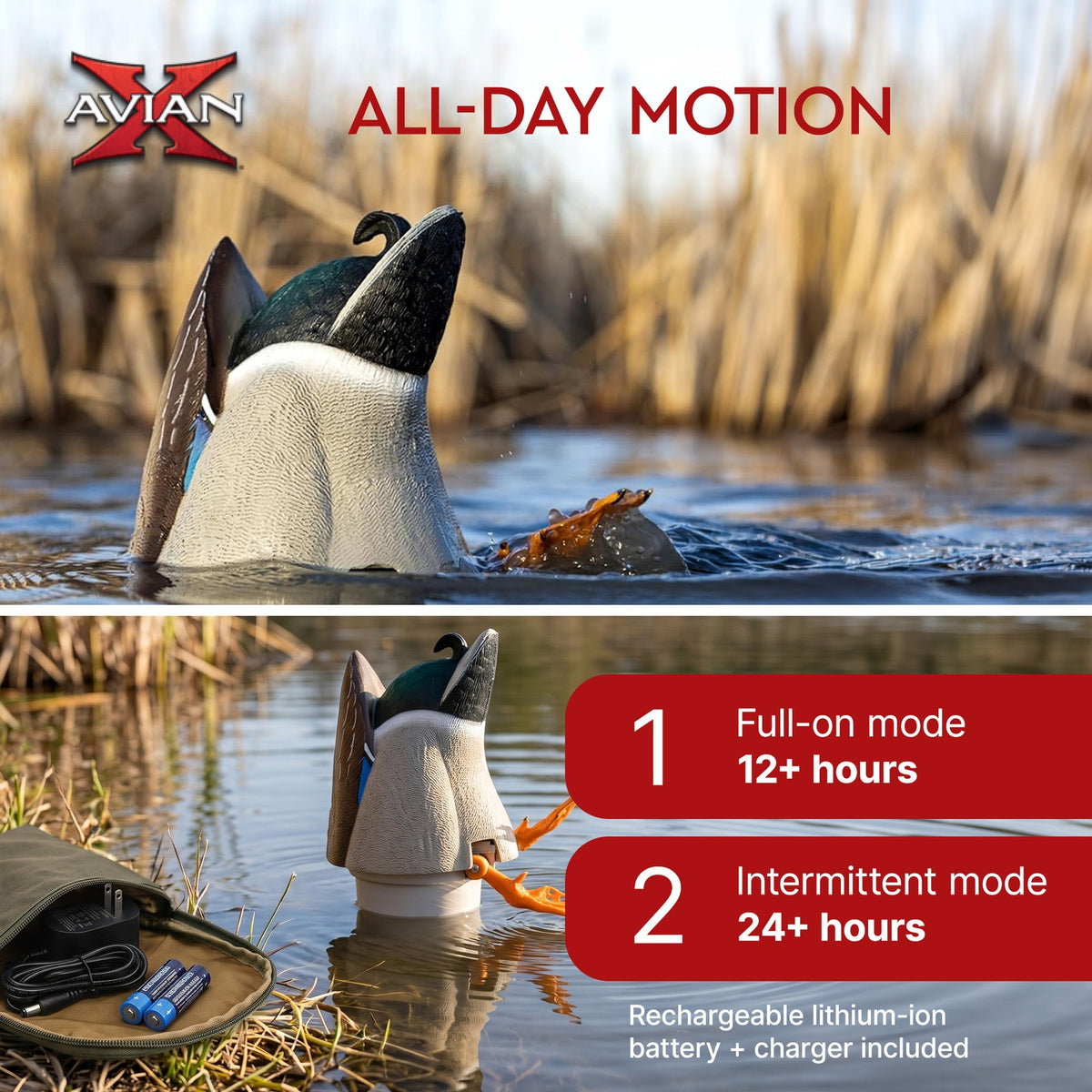 Realistic Mallard Duck Decoy with Motion Kicking Feet for Waterfowl Hunting