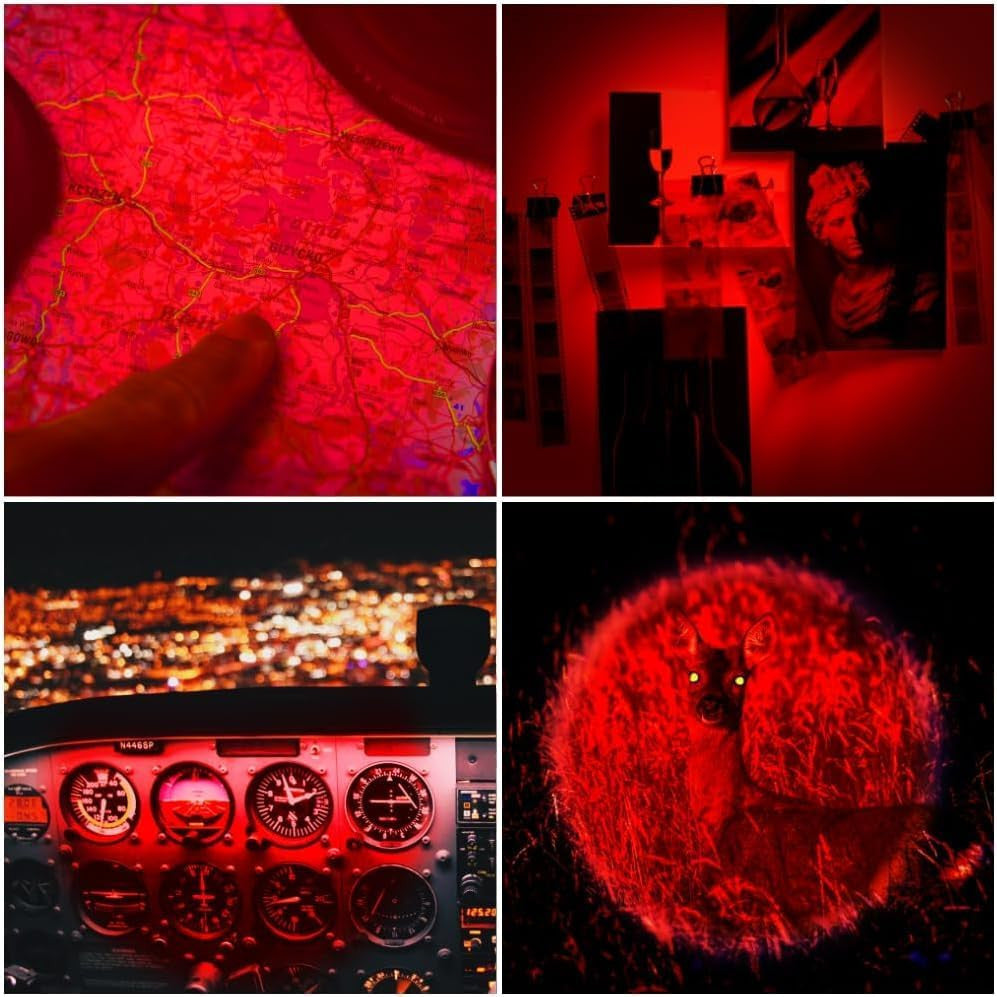 Red LED Flashlight 2 Pack Single Mode Zoomable Night Light for Animal Observation