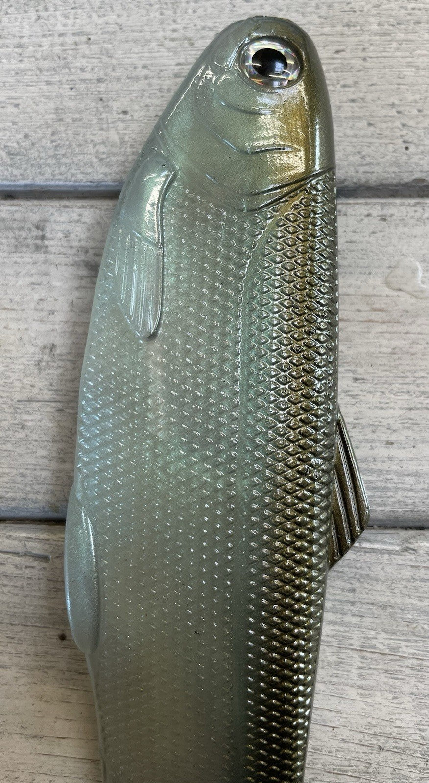 8-Inch Wedge Tail Soft Plastic Fish Bait - Green Gizzard Shad