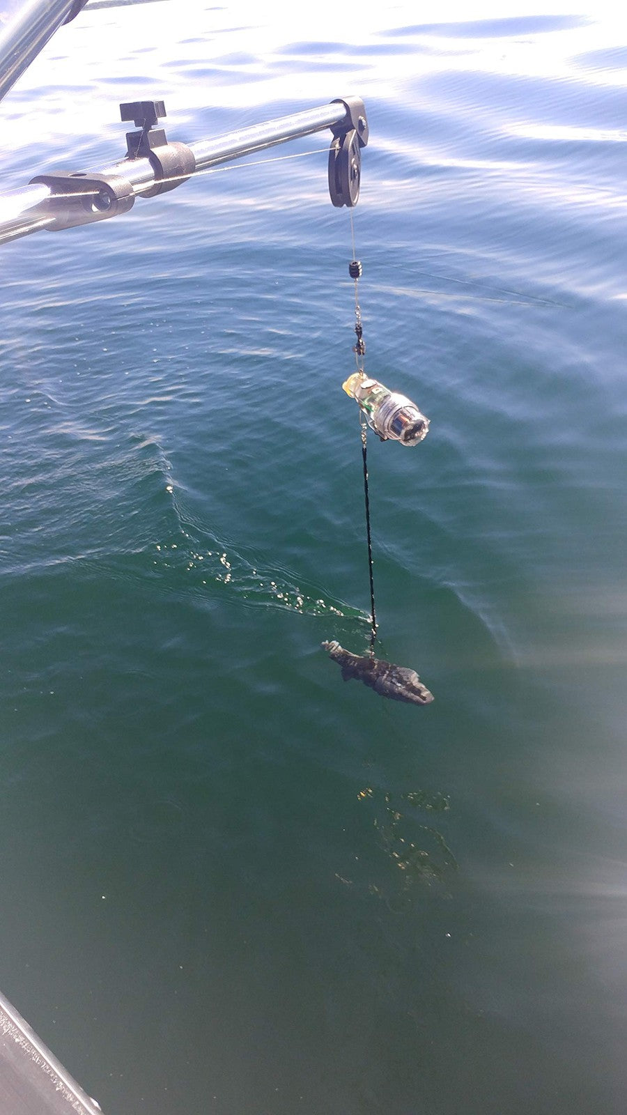 Downrigger Snubber Twin Pack - Clear Cushioned Shock Absorbers for Heavy Seas