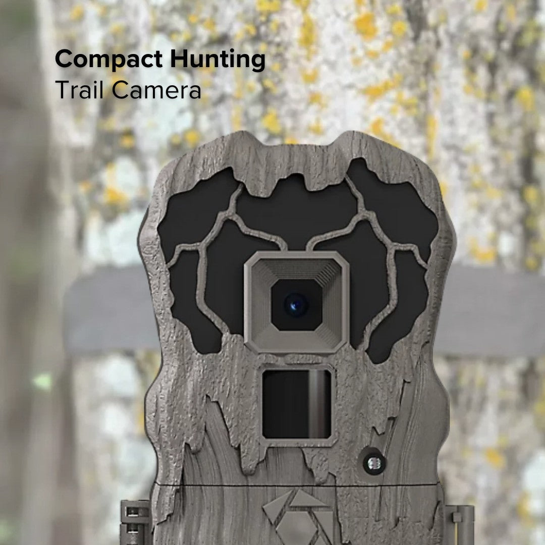 20MP Trail Camera Bundle with 720P HD Video Camo 2 Pack