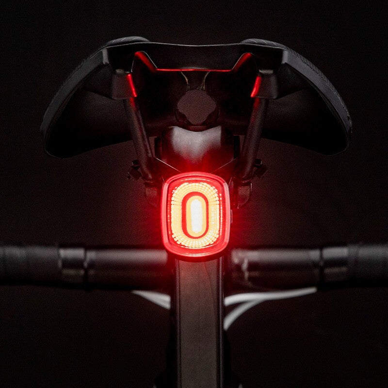 Rear Bike Light with Smart Brake Alert & Flashing Tail Light for Cycling