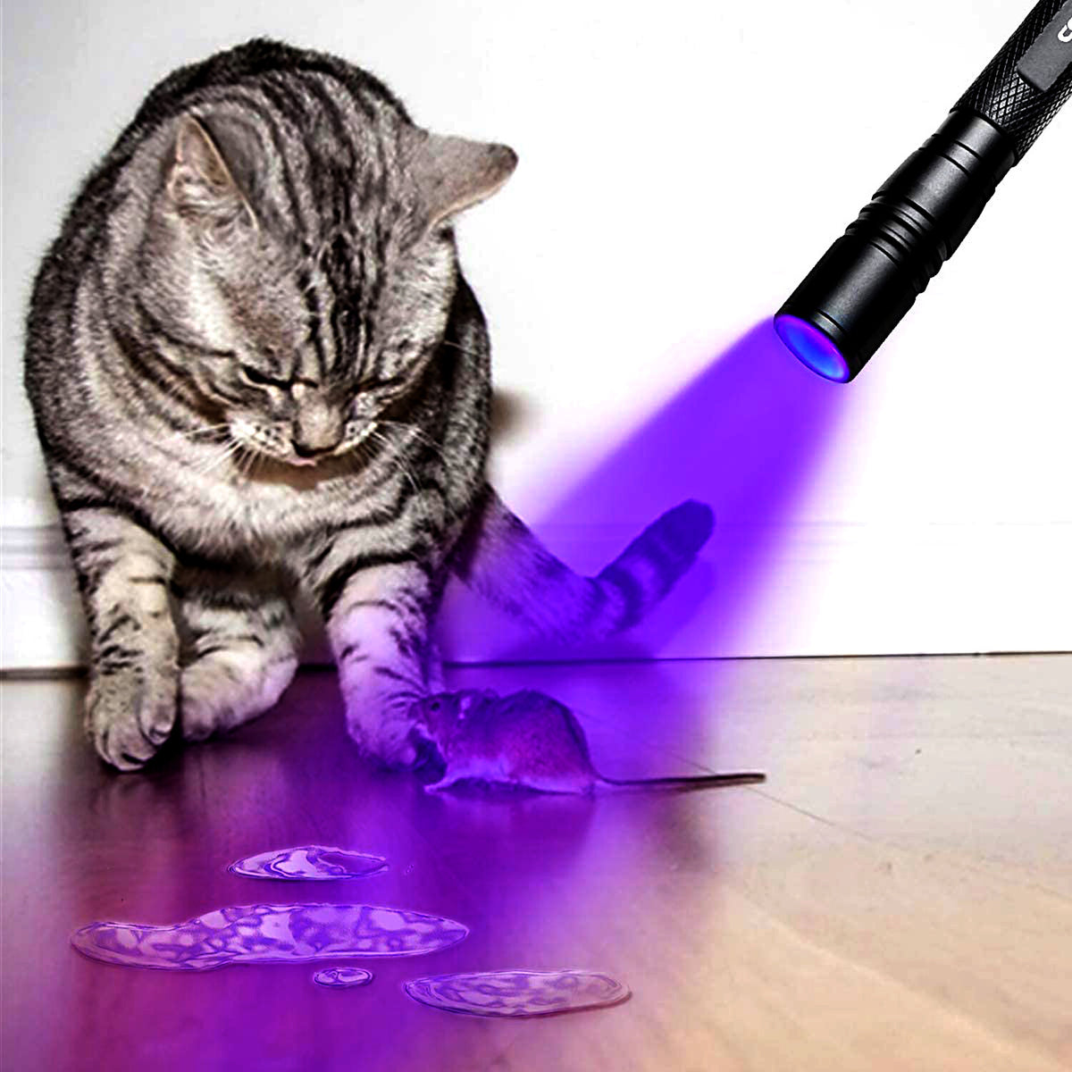 Zoomable 395nm UV Light Penlight Black Light for Detecting Insects Gems and Fluids