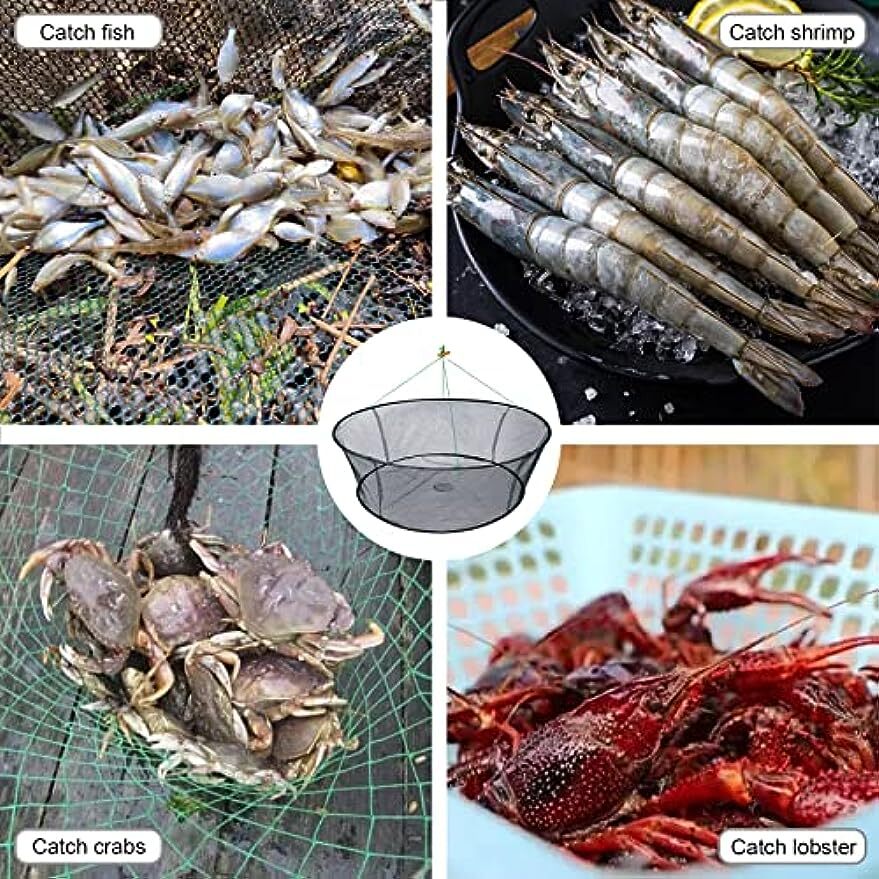 Foldable Fishing Landing Net for Catching Fish Crab Shrimp & Lobster