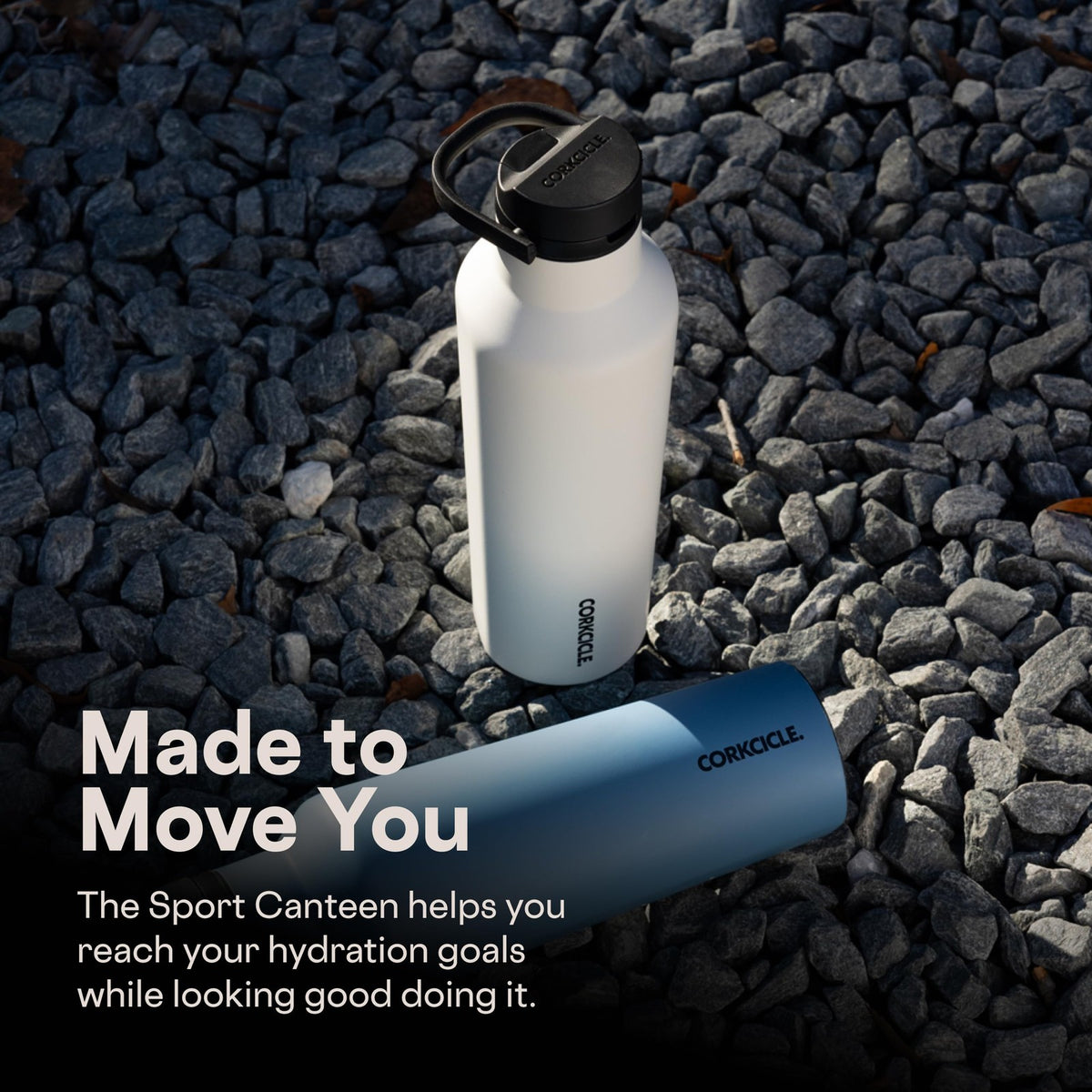 20 oz Insulated Stainless Steel Water Bottle - Triple Wall Cooler