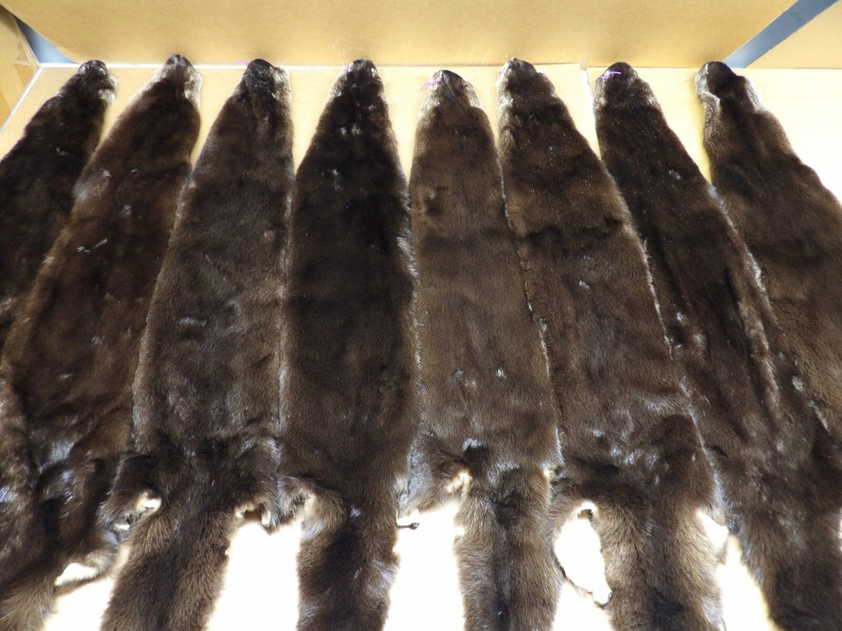 North American XXL Dark River Otter Pelts - Professionally Tanned Furs