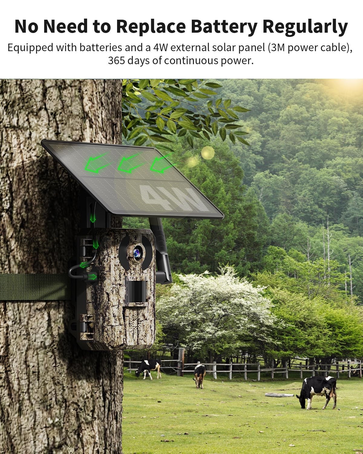 4G LTE Solar Trail Camera with 4K Live View Night Vision Waterproof Wildlife Monitoring
