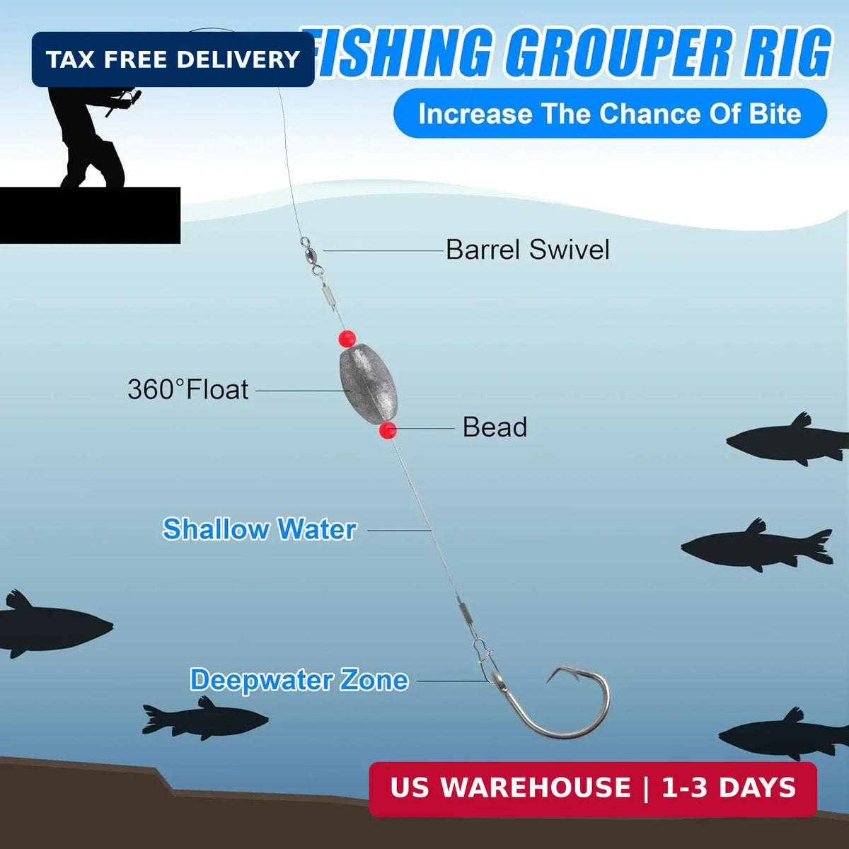 Saltwater Bottom Fishing Rig with Egg Sinkers and Wire Leaders for Flounder, Catfish, Redfish