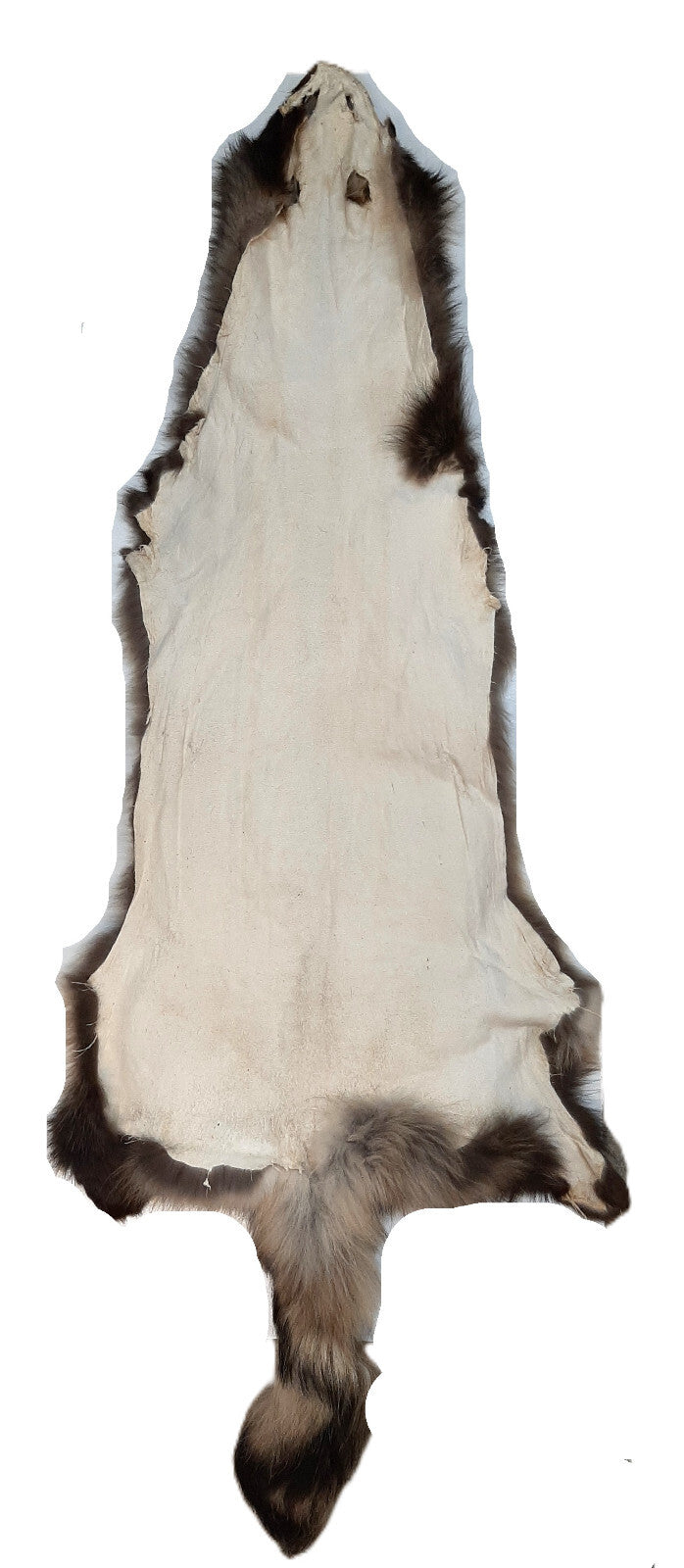 Large Tanned Finnish Coonskin Fur Pelt - Thick Long Fur, Unique Colors