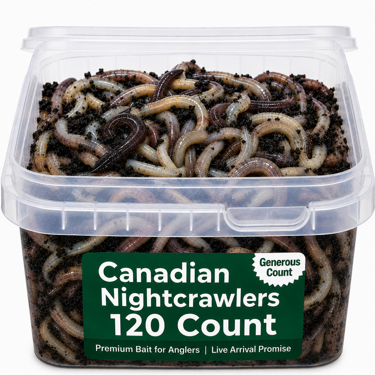 Canadian Nightcrawlers Live Bait - Multiple Sizes & Count Options for Fishing & Reptiles