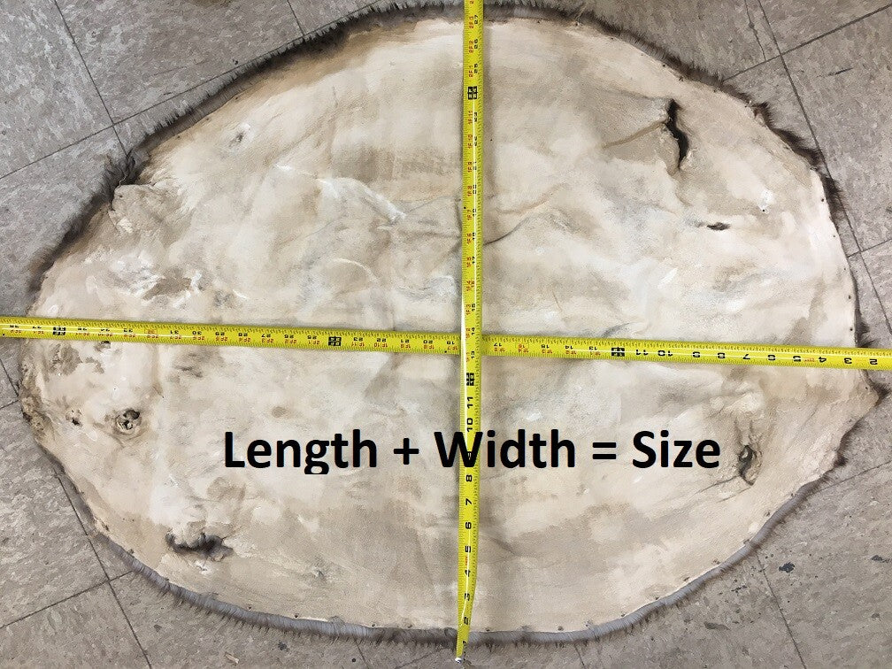 Genuine Tanned Beaver Pelt - Imperfect Grade, Soft Fur, All Sizes