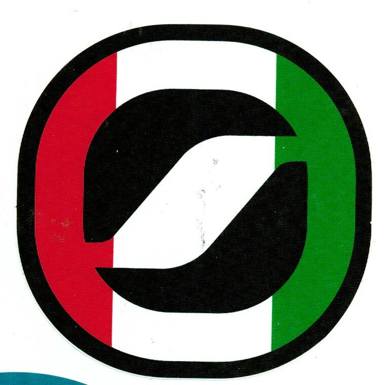 Ski & Snowboard Decals Sticker Set for Mountain Ski Boots & Gear