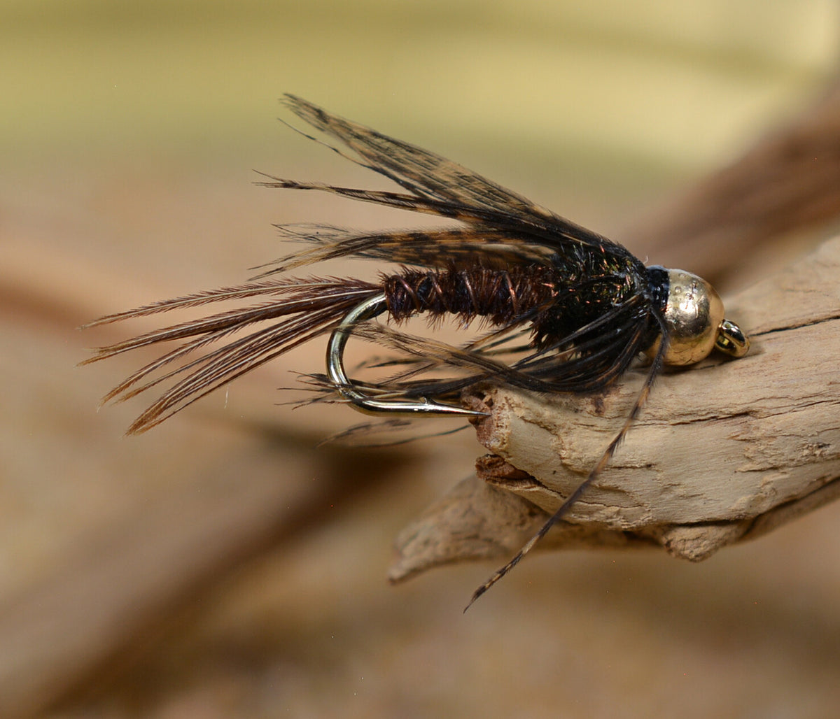 Pheasant Tail Nymph Flies with Soft Hackle - Fly Fishing Tackle Assortment
