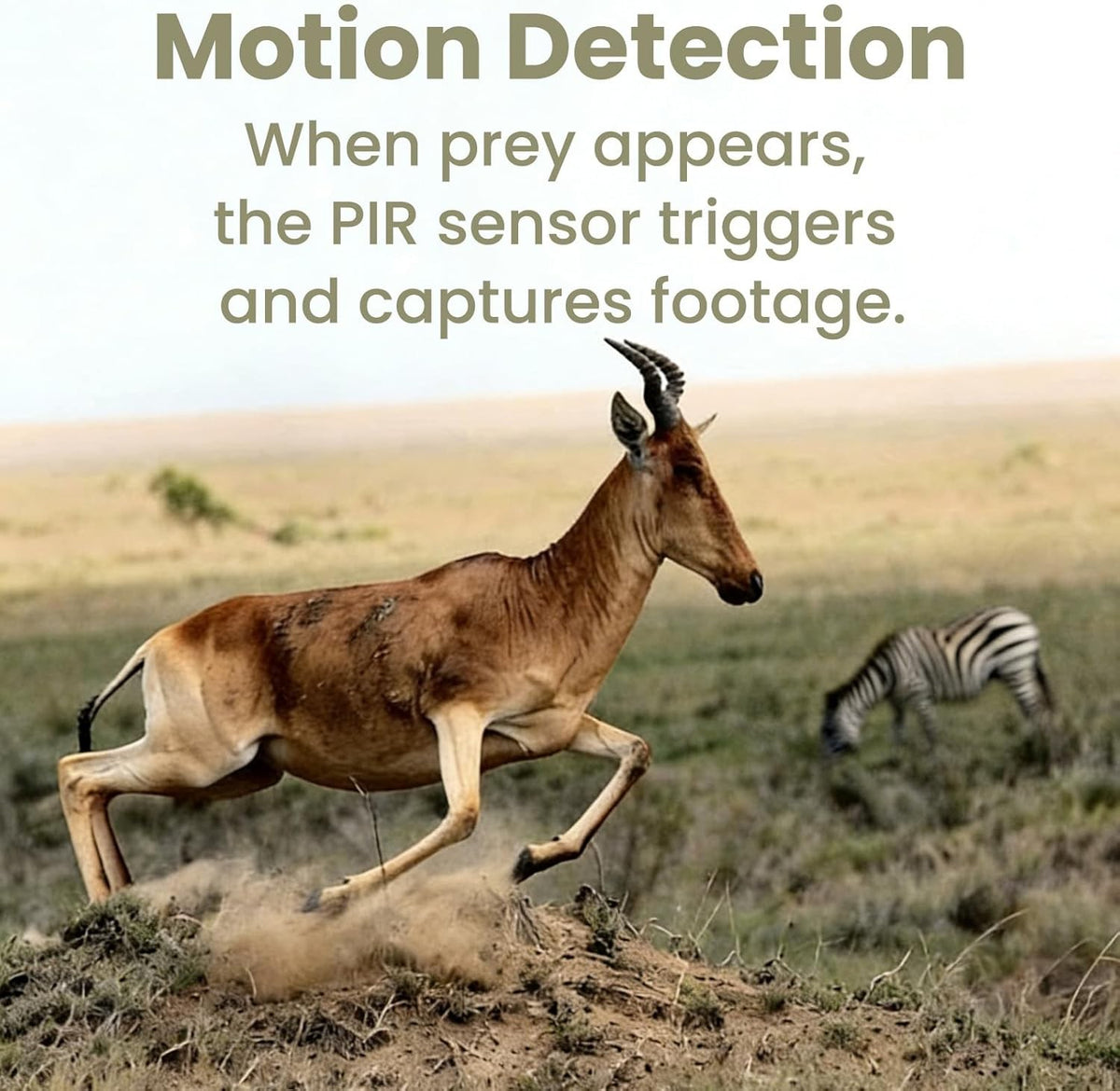 Wildlife Trail Camera 1080P HD Night Vision Waterproof Motion Sensor