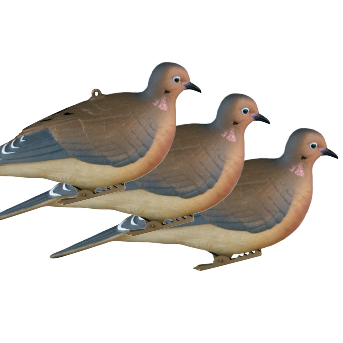 Realistic Mourning Dove Decoys Set - Full-Body Bird Hunting Props, 6 Pack