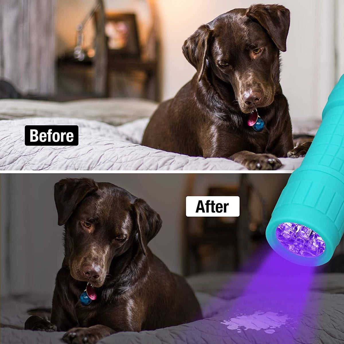 Mini UV Black Light Flashlight 9-LED 395nm for Stains Scorpions Pet Urine Detecting
