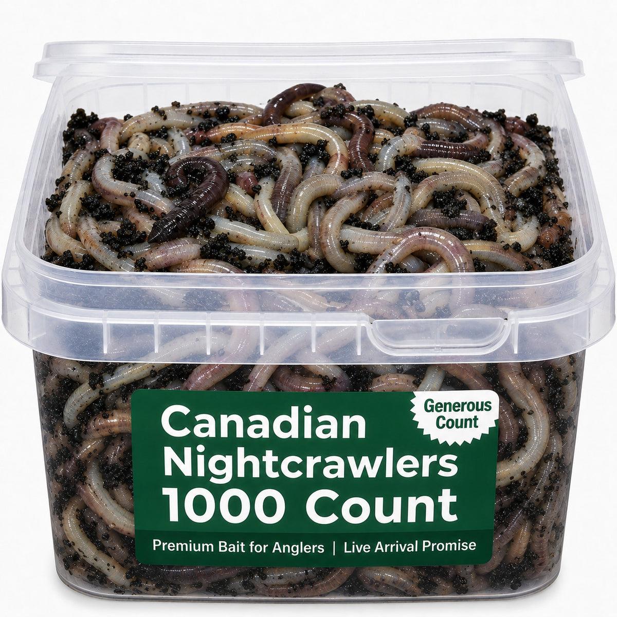 Canadian Nightcrawlers Live Bait - Multiple Sizes & Count Options for Fishing & Reptiles