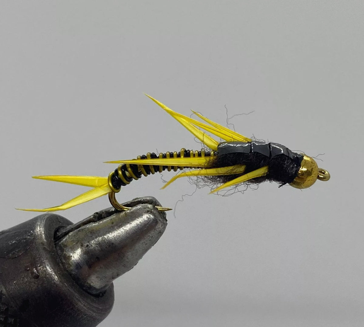 Fly Fishing Nymph Assortment - 18 High-Quality Stonefly Flies for Trout