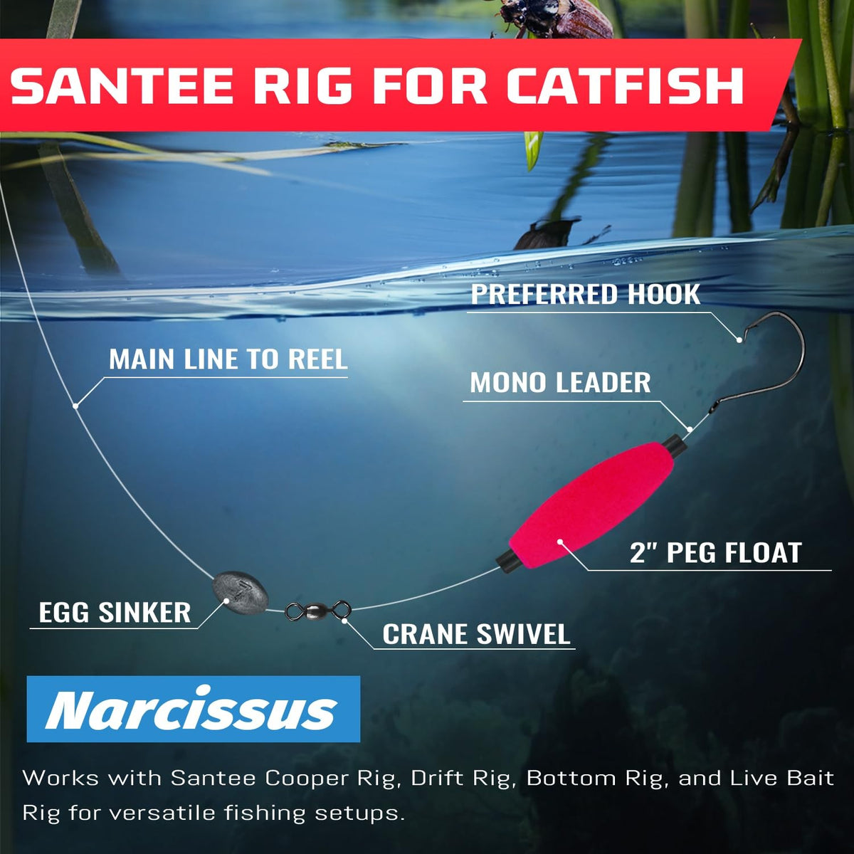Vibrant Foam Fishing Bobbers for Catfish - 5 Sizes, Bright Floats for Freshwater & Saltwater Fishing