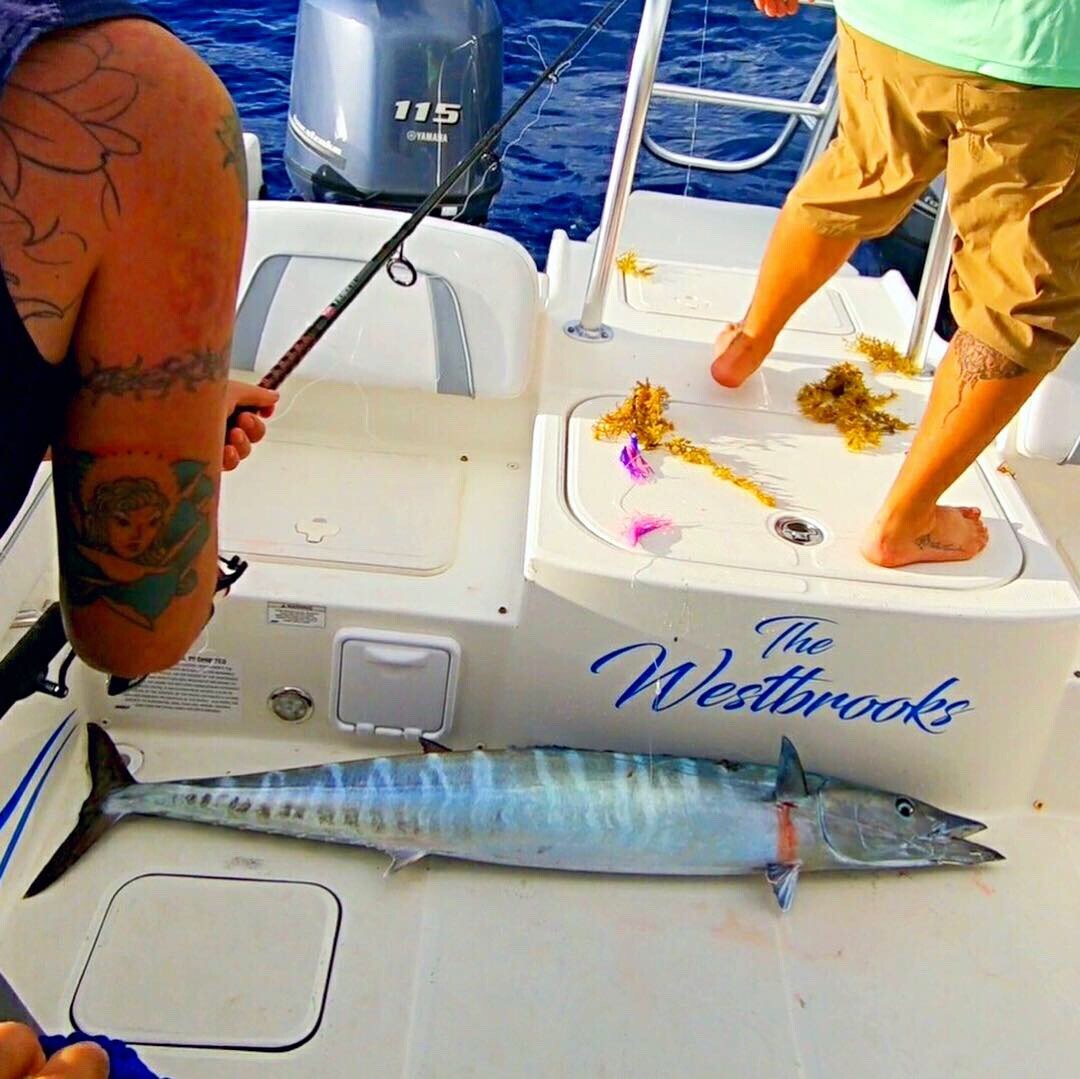 Saltwater Fishing Lure - Triple Squid Chain for Mahi Tuna & Pelagic Fish
