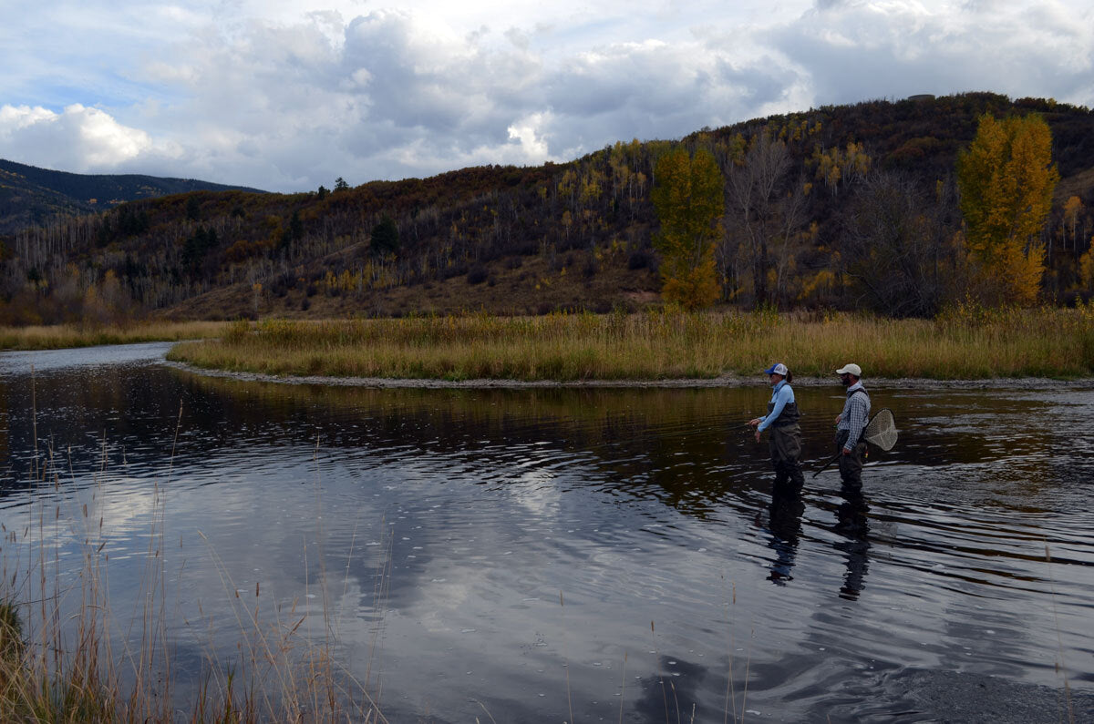 Premium Trout Fly Fishing Flies Olive Nymph Emergers - Guide Tied