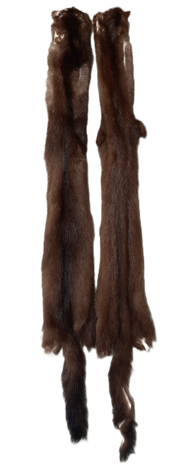 Female Wild Mink Pelt - Soft, Tanned Fur with Multiple Grade Options