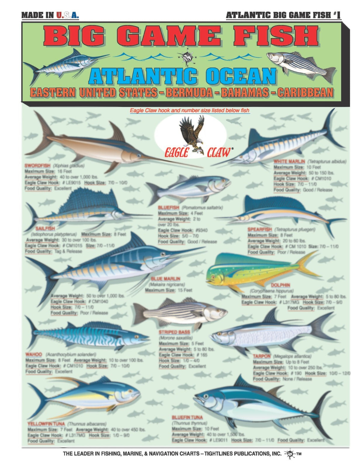 Saltwater Fish Identification Set Waterproof Quick Reference Guide for Anglers
