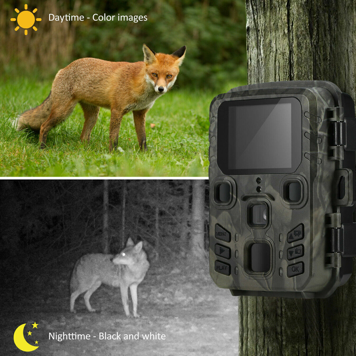 Mini Waterproof Trail Camera 24MP 1080P Night Vision with 32GB Card