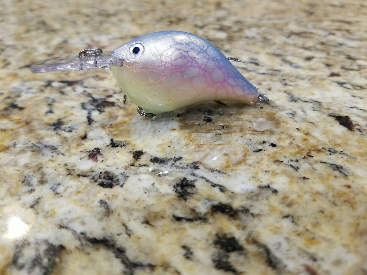 Custom Painted Rapala DT-6 Deep Diver Lure - Fish Attractant