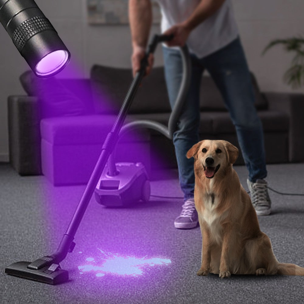 Portable UV Black Light Penlight 395nm Handheld Torch with Clip