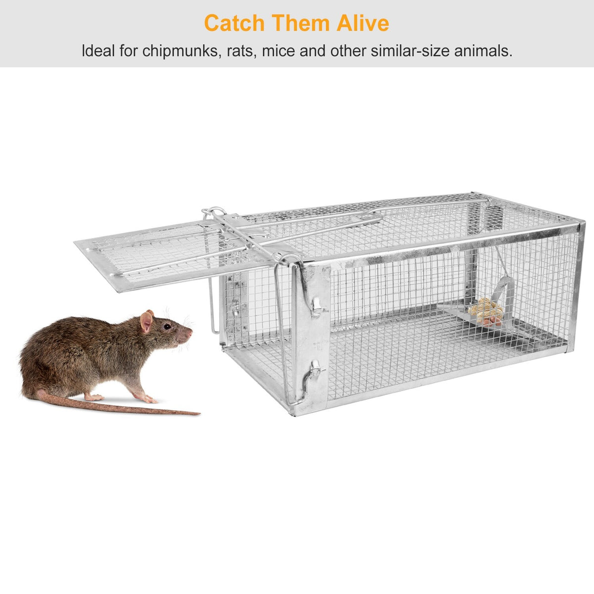 Humane Cage Trap for Squirrels Rodents Chipmunks Mice Raccoons - Humane Animal Catcher