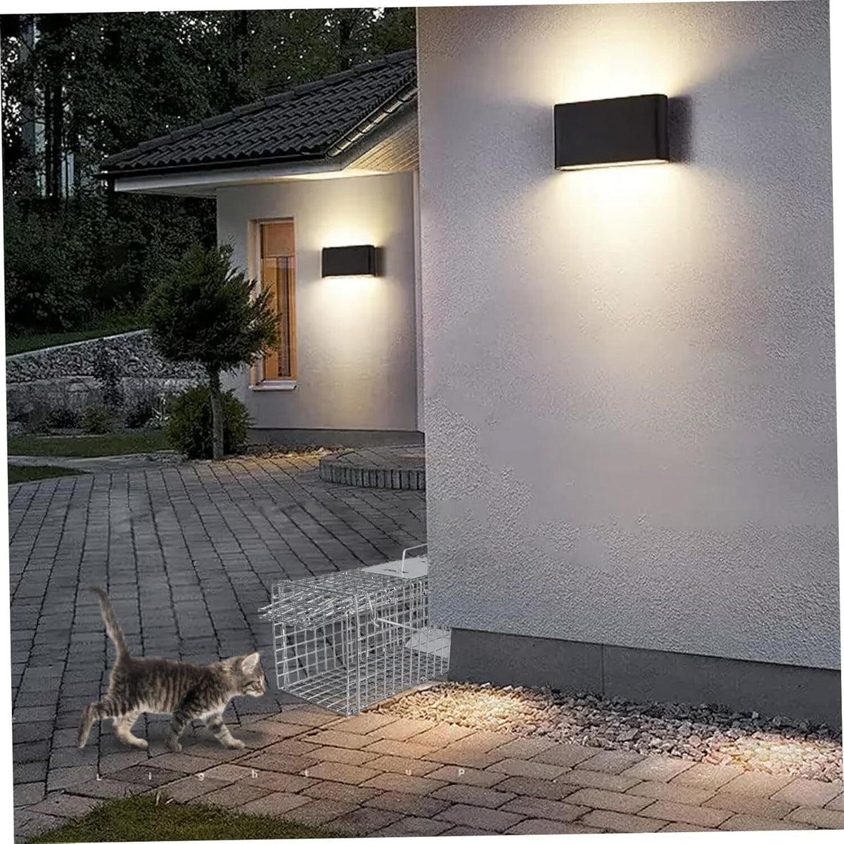 Humane Live Animal Trap Steel Cage for Rodents, Cats, Squirrels, Raccoons
