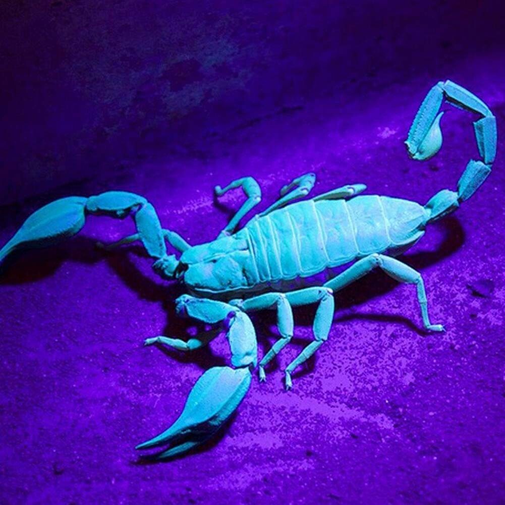 50-100PCS UV LED Keychain Flashlights - Black Light Ultraviolet Mini Lights