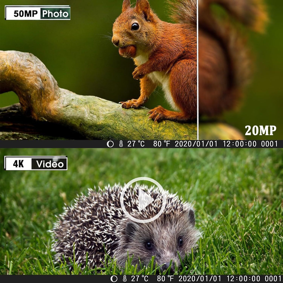 50MP 4K Wildlife Trail Camera Night Vision Waterproof Motion Camera