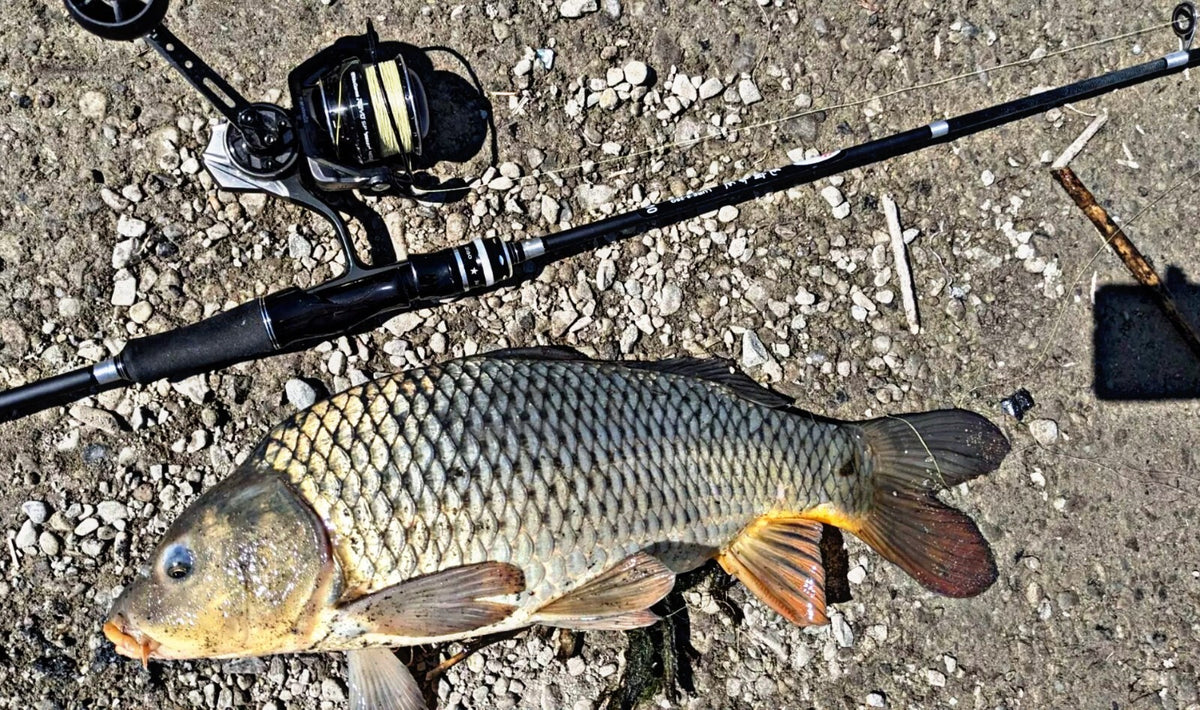 Lightweight Carbon Fiber Spinning Fishing Rods - Medium Fast Action, 7ft & 8ft Options