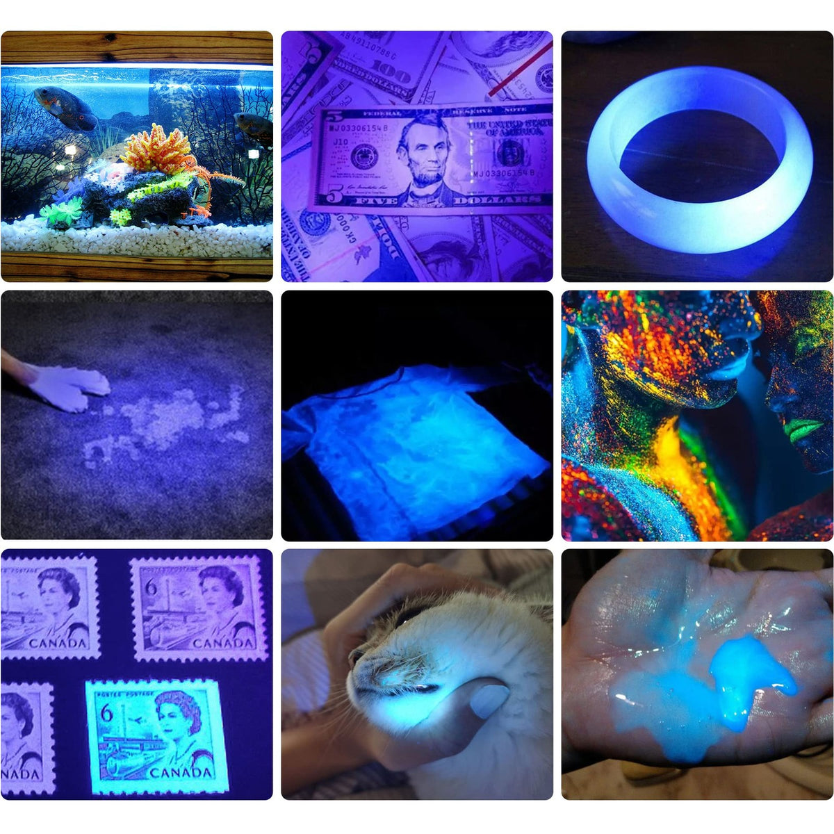 UV Blacklight 365nm & 395nm Handheld Flashlight for Stain Detection & Security