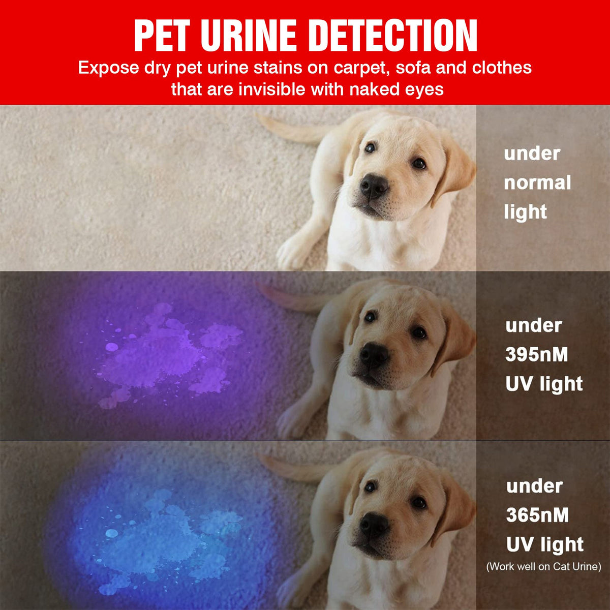UV Flashlight Penlight Waterproof Pocket Torch for Stain Detection