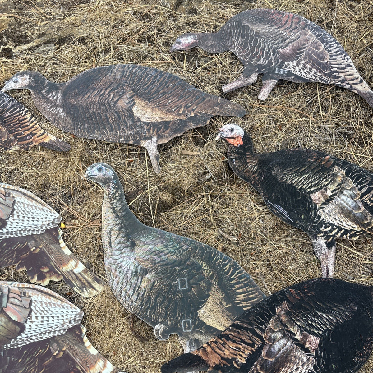 12 Pack Turkey Decoys Silhouette Wildlife Hunting Attractants Made in USA