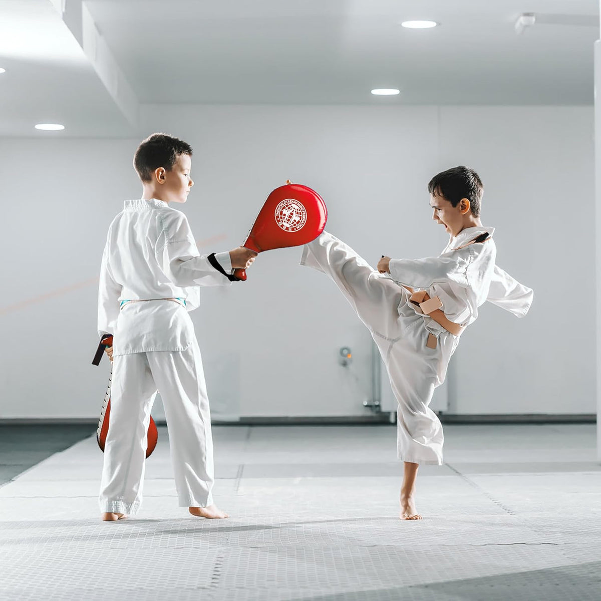 Martial Arts Kick Pads for Taekwondo & Karate - Durable Strike Targets (2 Pack)